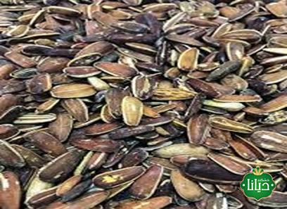 قیمت خرید تخمه آفتابگردان شیرازی + عکس